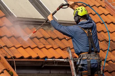 Démoussage et hydrofuge de toiture à Joyeux